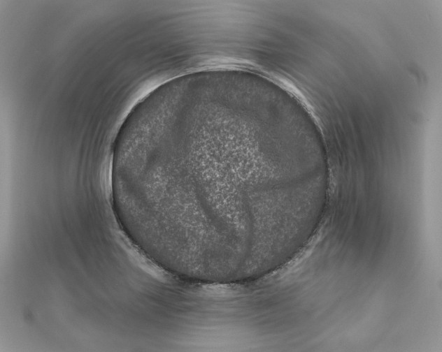 X0000111871227200908131604