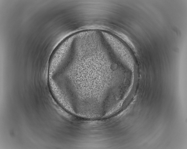 X0000111871228200908131604