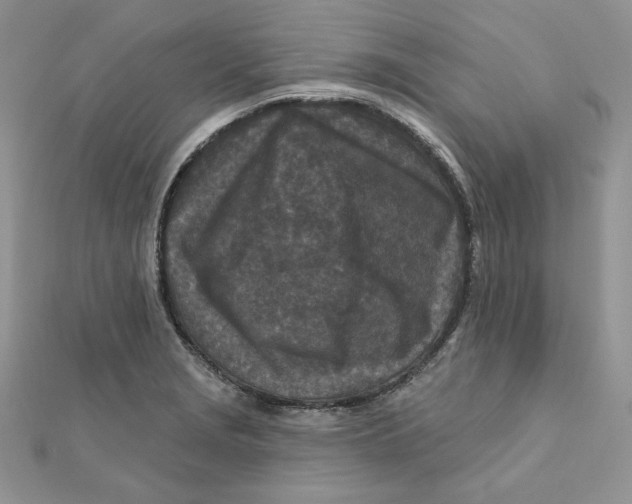 X0000111871229200908131604