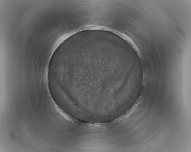 X0000111871231200908131605