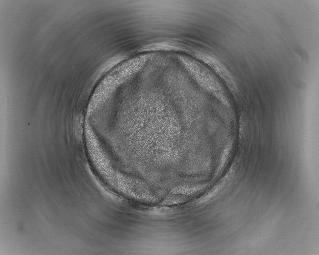 X0000111871233200908131605