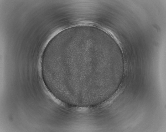 X0000111871235200908131605