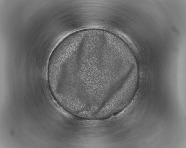 X0000111871236200908131605