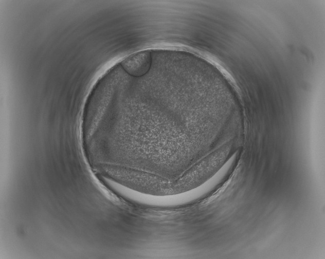 X0000111871237200908131605