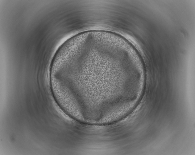 X0000111871238200908131605