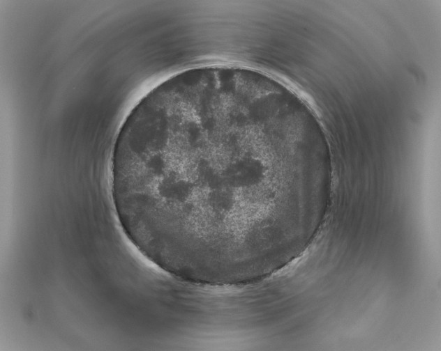 X0000111871239200908131605