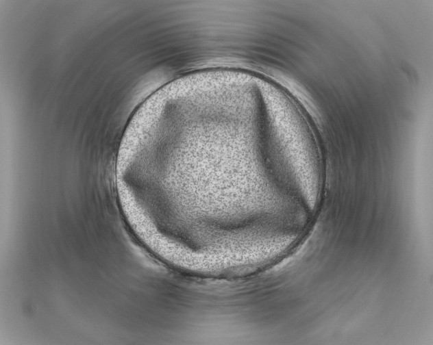 X0000111871241200908131605