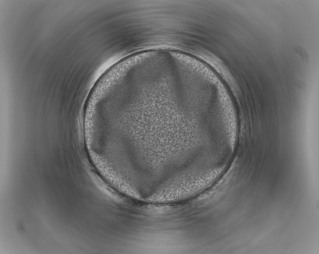 X0000111871242200908131605