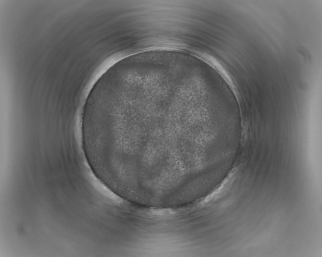 X0000111871243200908131605