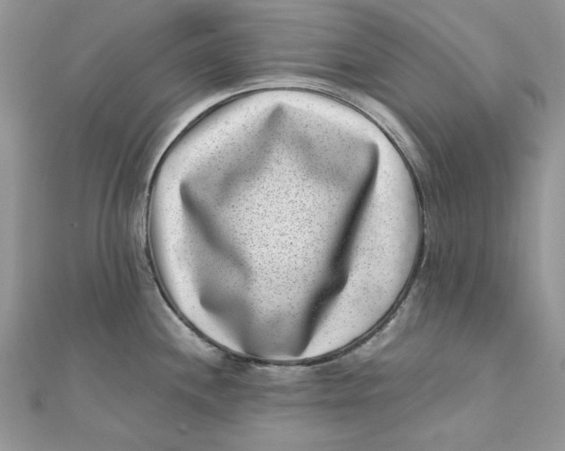 X0000111871244200908131605