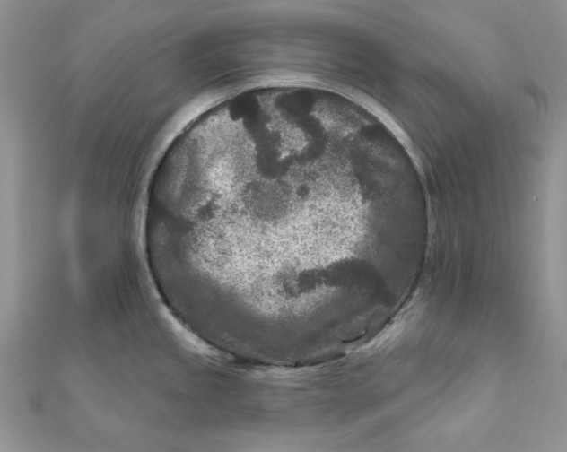 X0000111871245200908131605