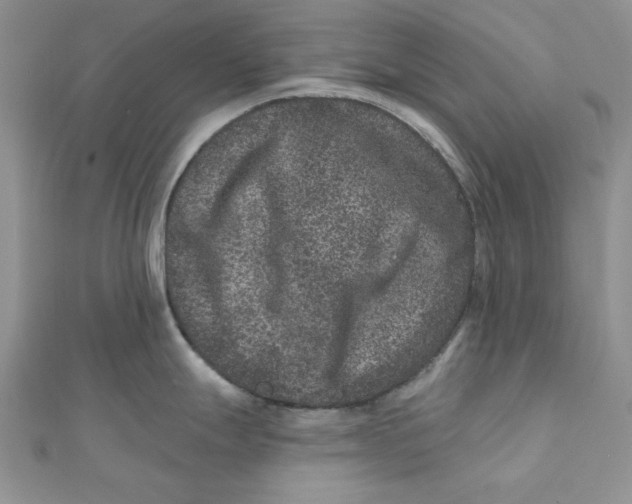 X0000111871247200908131605