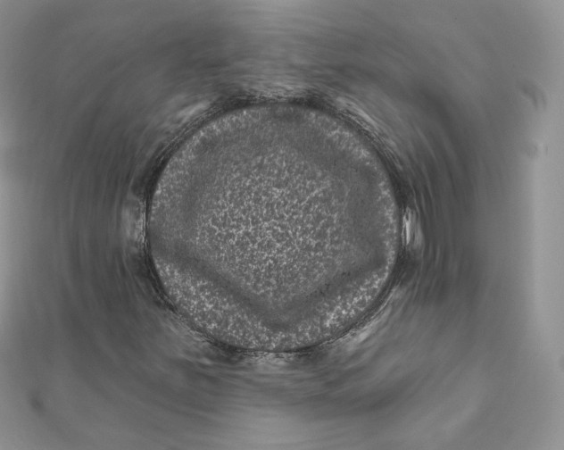 X0000111871251200908131604