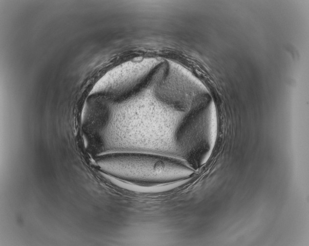 X0000111871253200908131604