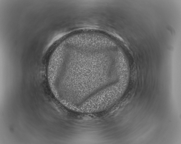 X0000111871255200908131604