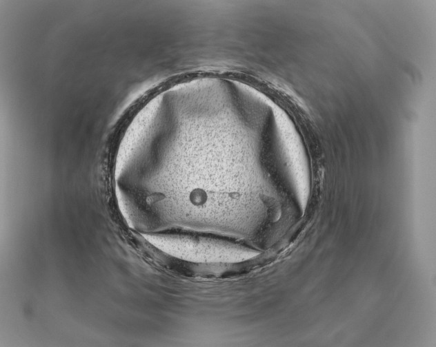 X0000111871256200908131604