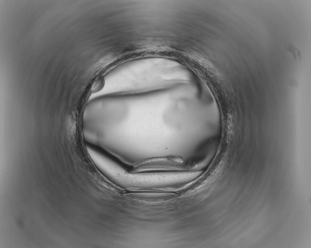 X0000111871257200908131604