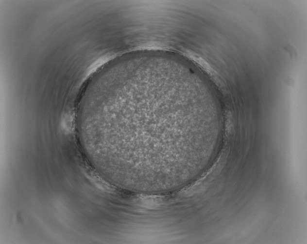 X0000111871258200908131604