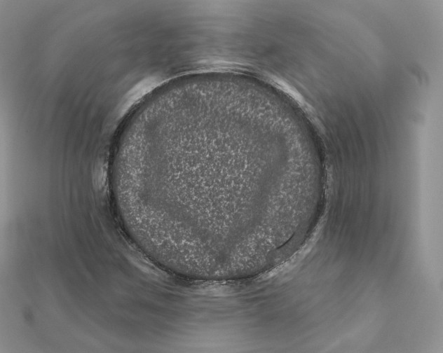 X0000111871259200908131604