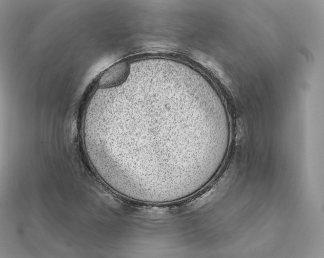 X0000111871261200908131604