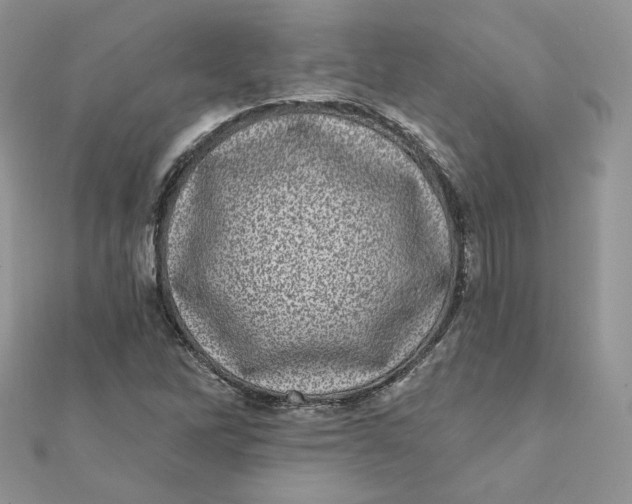 X0000111871262200908131604