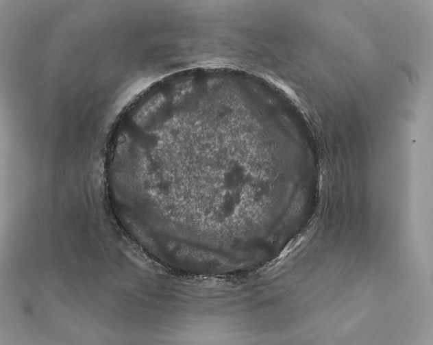 X0000111871263200908131604