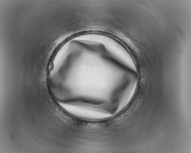 X0000111871264200908131604