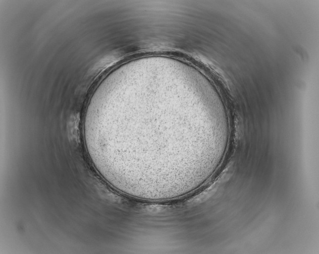 X0000111871265200908131604