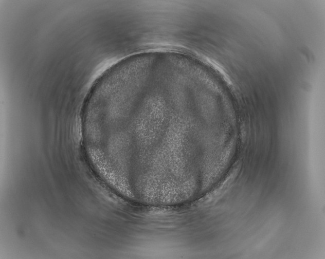 X0000111871267200908131604