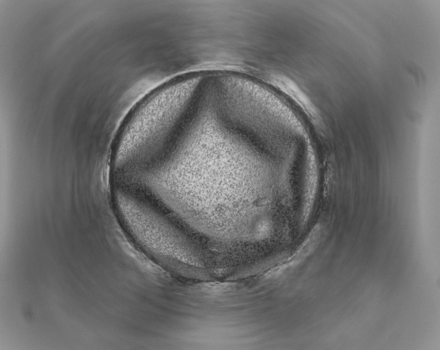 X0000111871268200908131604