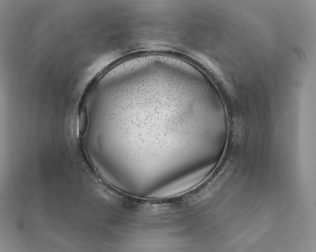 X0000111871269200908131604