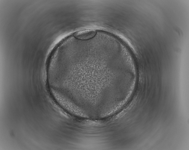 X0000111871270200908131604