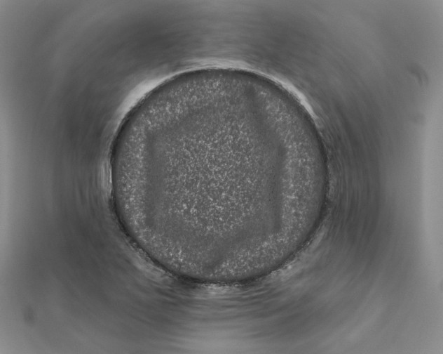 X0000111871271200908131604