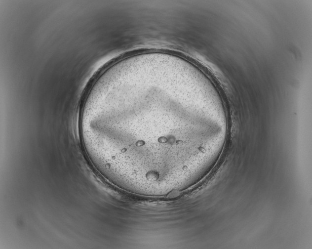 X0000111871272200908131604