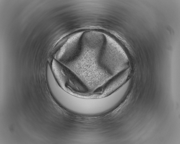 X0000111871273200908131604