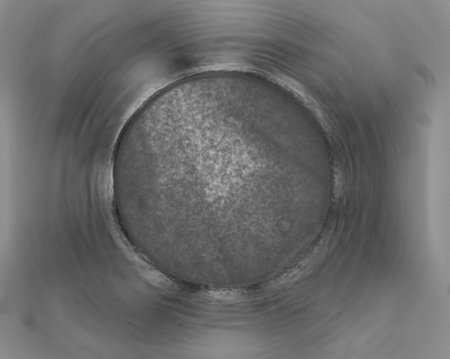 X0000111871274200908131604