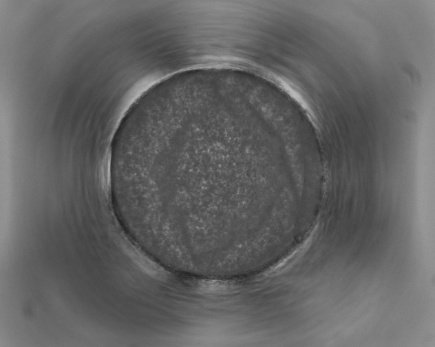 X0000111871275200908131604