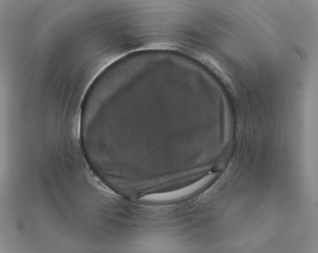 X0000111871276200908131604