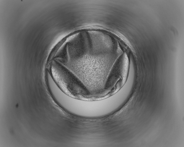 X0000111871277200908131604