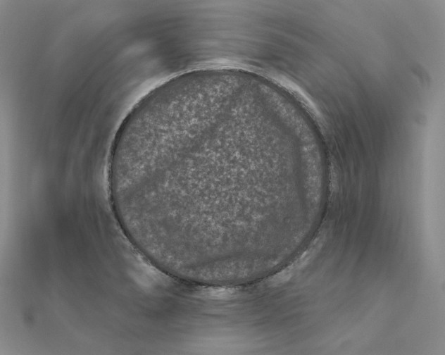 X0000111871278200908131604