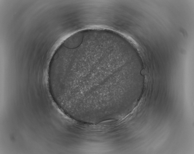 X0000111871279200908131604