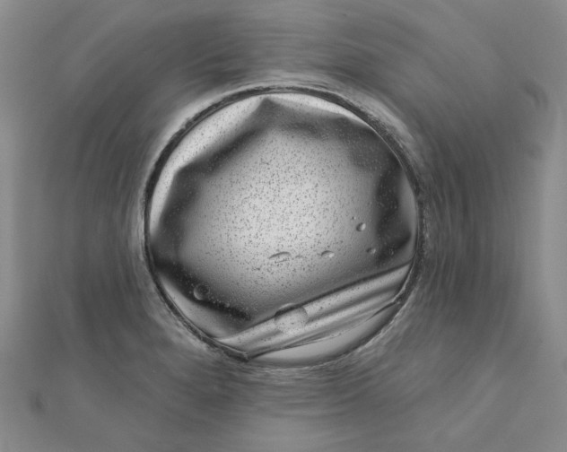 X0000111871280200908131604