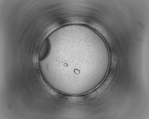 X0000111871281200908131604