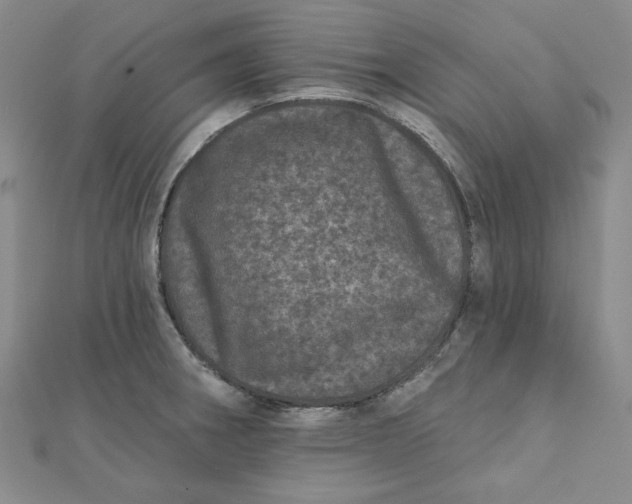 X0000111871282200908131604