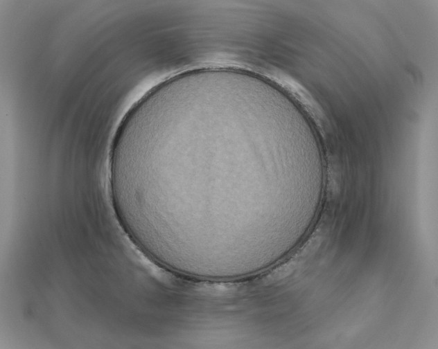 X0000111871286200908131604