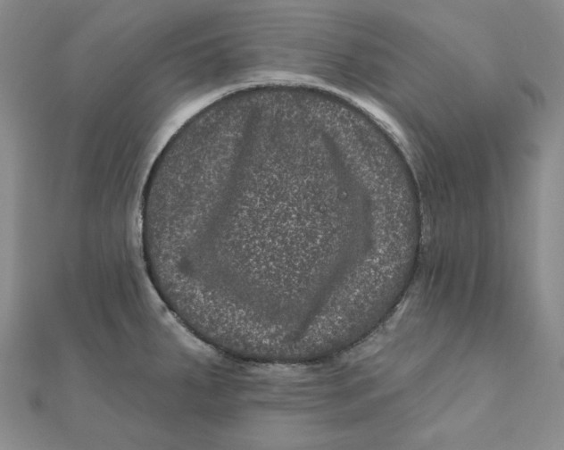 X0000111871287200908131604