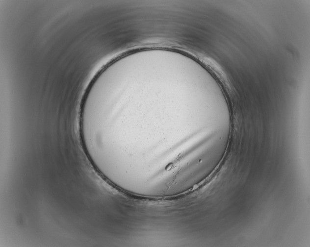 X0000111871288200908131604