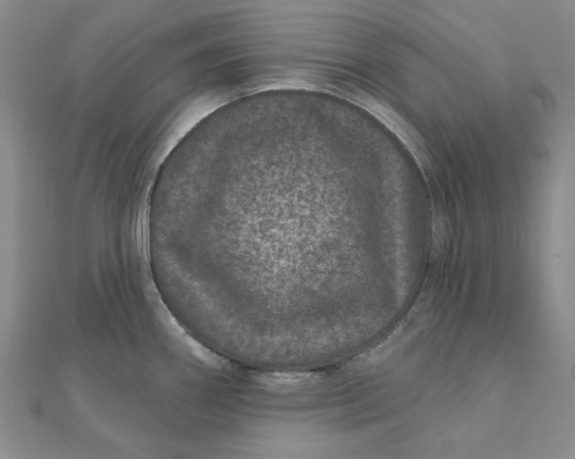 X0000111871290200908131603