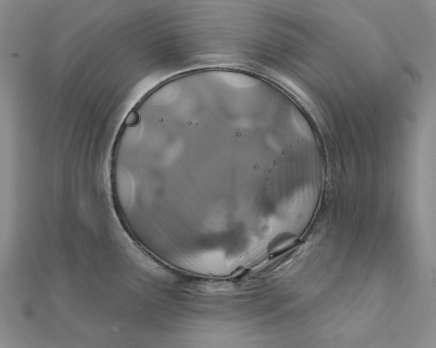 X0000111871291200908131603