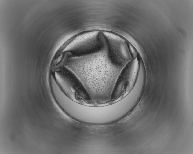 X0000111871293200908131603